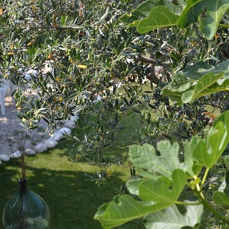 Giardinotto Casa Vacanze Altino  Екстериор снимка